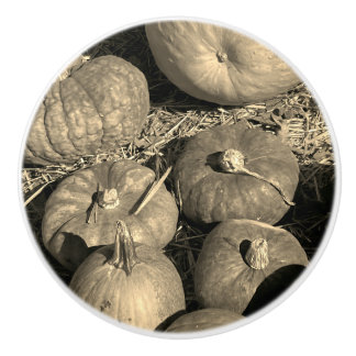 Pumpkin Patch Ceramic Knob