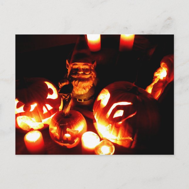 Pumpkin Patch Gnome III Postcard (Front)