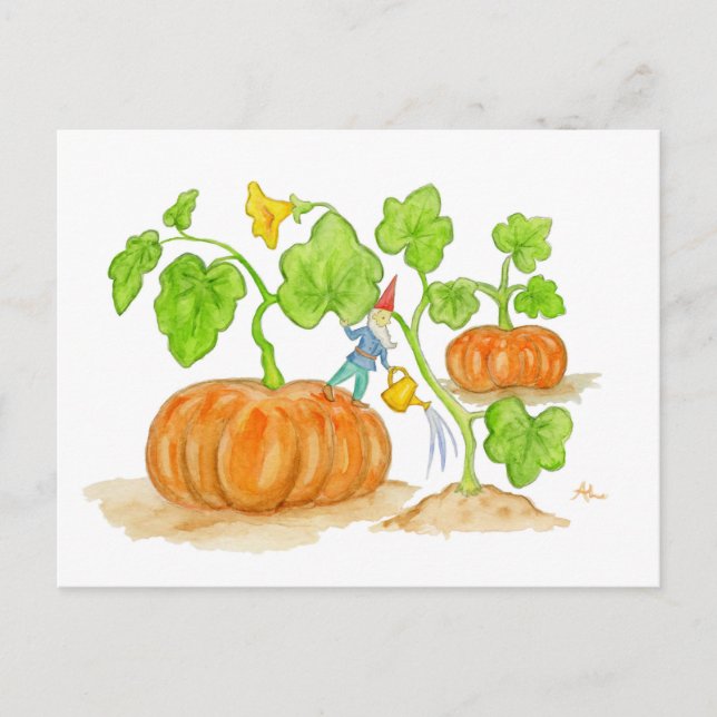 Pumpkin Patch Gnome postcard (Front)