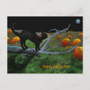 Pumpkin patch, Happy Halloween Postcard