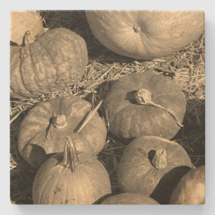 Pumpkin Patch Stone Coaster
