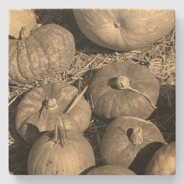 Pumpkin Patch Stone Coaster (Front)