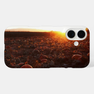 Pumpkin Patch Sunset B iPhone 16 Case