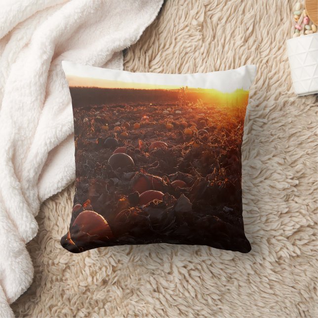 Pumpkin Patch Sunset B Cushion (Blanket)