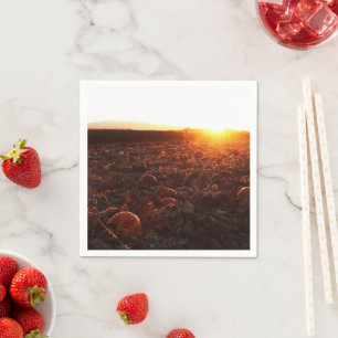 Pumpkin Patch Sunset B Napkin