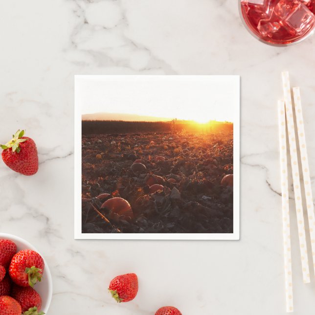 Pumpkin Patch Sunset B Napkin (Insitu)
