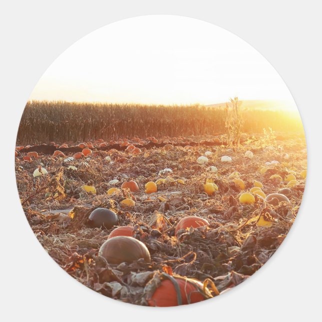 Pumpkin Patch Sunset C Classic Round Sticker (Front)