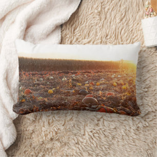 Pumpkin Patch Sunset C Lumbar Cushion