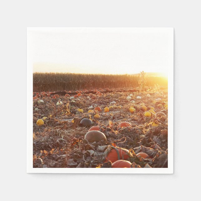 Pumpkin Patch Sunset C Napkin (Front)