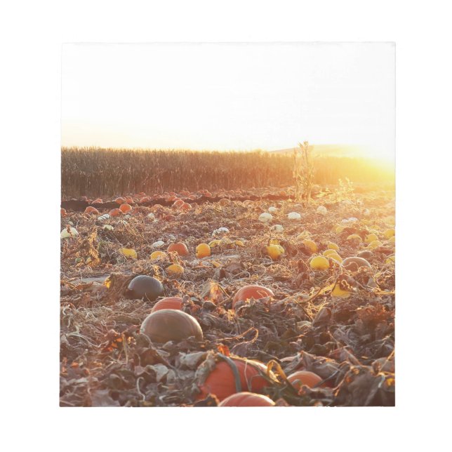 Pumpkin Patch Sunset C Notepad (Front)