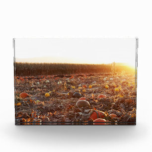 Pumpkin Patch Sunset C Photo Block