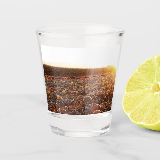 Pumpkin Patch Sunset C Shot Glass (Front)