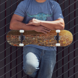 Pumpkin Patch Sunset C Skateboard