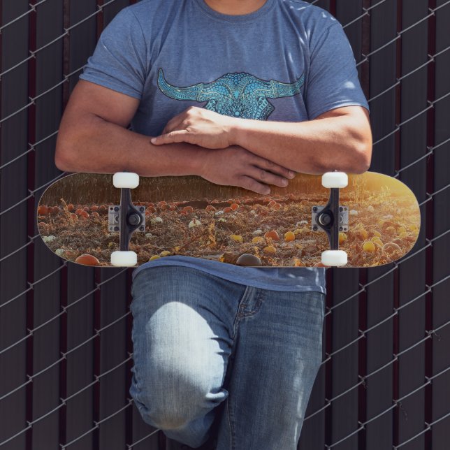 Pumpkin Patch Sunset C Skateboard (Outdoor 3)