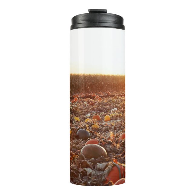 Pumpkin Patch Sunset C Thermal Tumbler (Front)