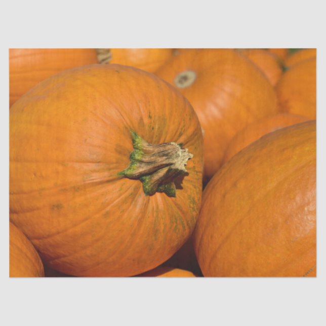 pumpkin patch tissue paper (Front)