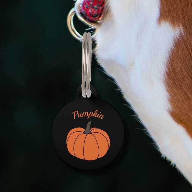 Pumpkin Pet Tag (Pumpkin Pet Tag)