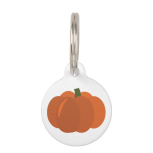 Pumpkin Pet Tag