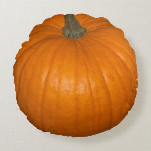 Pumpkin Photo Round Cushion
