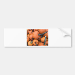 Pumpkin Pile! Bumper Sticker