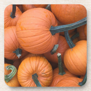 Pumpkin Pile! Coaster