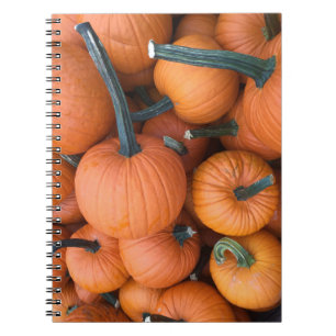 Pumpkin Pile! Notebook