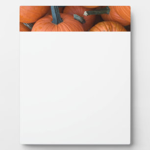 Pumpkin Pile! Plaque