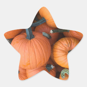 Pumpkin Pile! Star Sticker