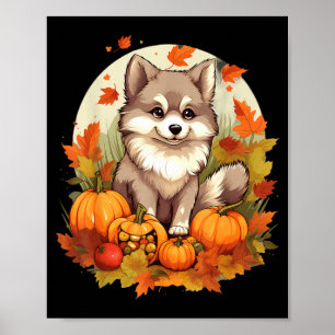 Pumpkin Pomsky Dog Halloween Thanksgiving Poster