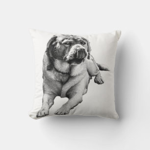 Pumpkin Porch Smile Cushion