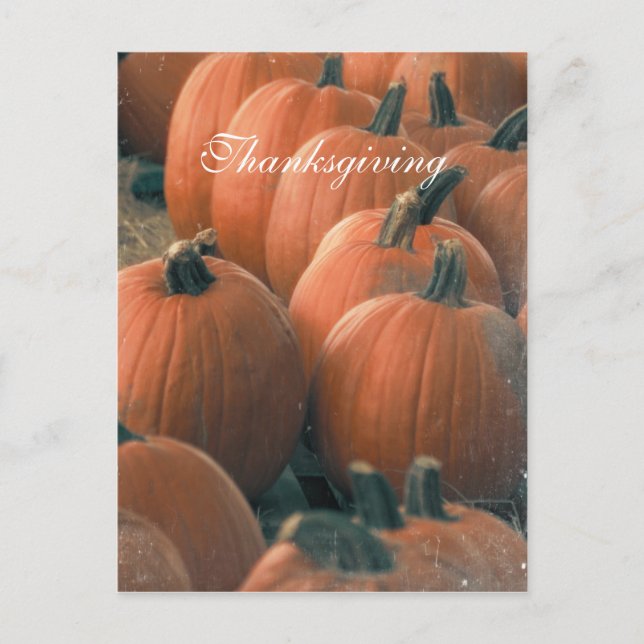 Pumpkin Post Card (Front)