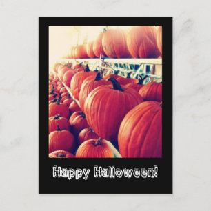 Pumpkin Postcard