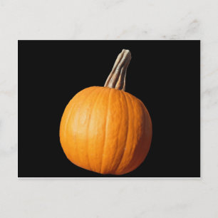 PUMPKIN POSTCARD