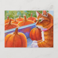 Pumpkin, Pumpkin Cat