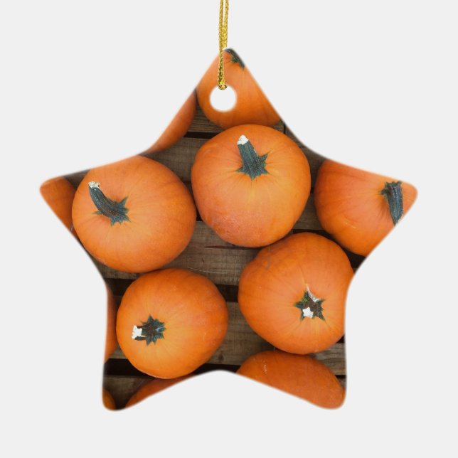 Pumpkin Rows Ceramic Tree Decoration (Front)