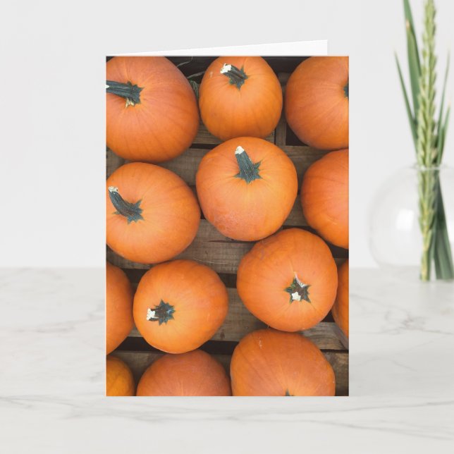 Pumpkin Rows Holiday Card (Front)