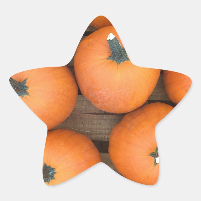 Pumpkin Rows Star Sticker (Front)