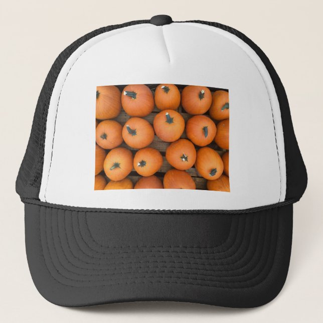Pumpkin Rows Trucker Hat (Front)