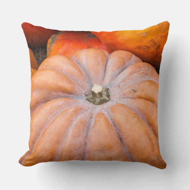 Pumpkin Season Cushion (Front)