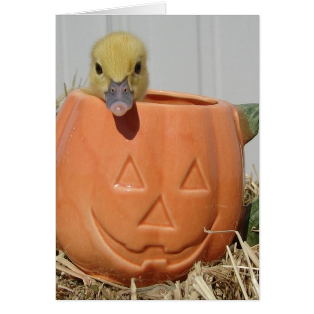 Pumpkin Spice (Front)