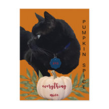 Pumpkin Spice Everything Nice Black Cat Postcard