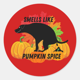 Pumpkin Spice Pup Fall Vibes Classic Round Sticker