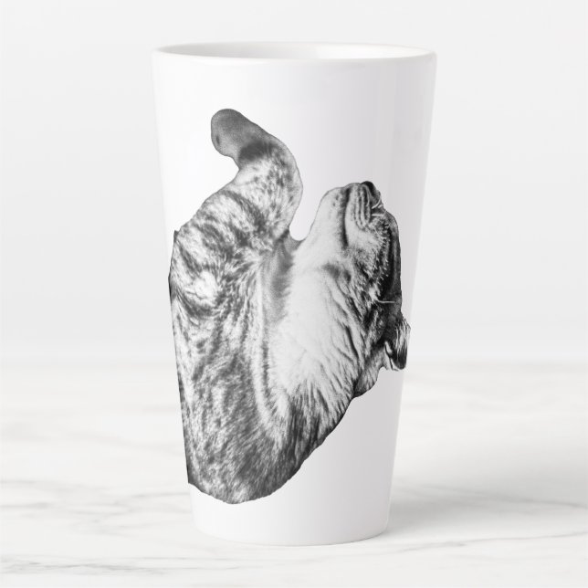 Pumpkin Spice Siesta Latte Mug (Front)