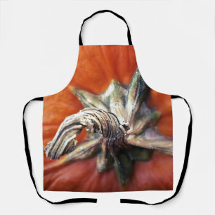 Pumpkin Spiral  Apron