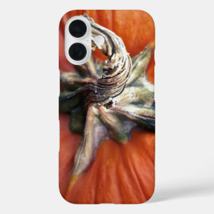 Pumpkin Spiral iPhone 16 Case