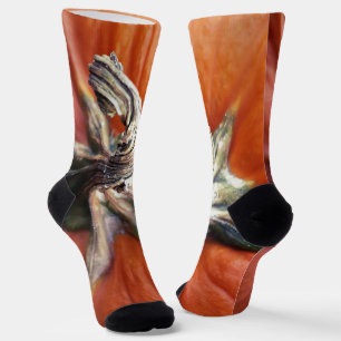 Pumpkin Spiral  Socks