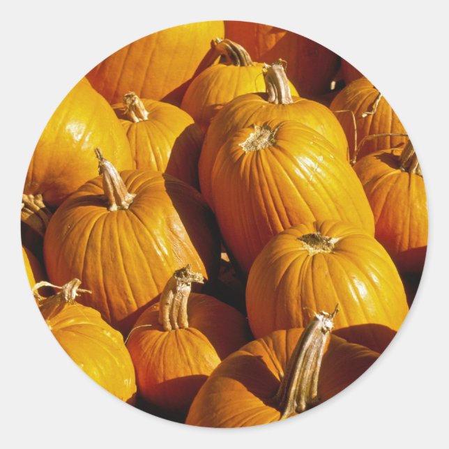 Pumpkin Stickers (Front)