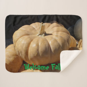 Pumpkin Style! on a Sherpa Blanket