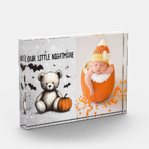 Pumpkin Teddy Photo Block