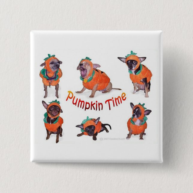 Pumpkin Time Chihuahuas 15 Cm Square Badge (Front)